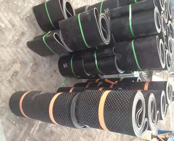 環(huán)型輸送帶 (3)