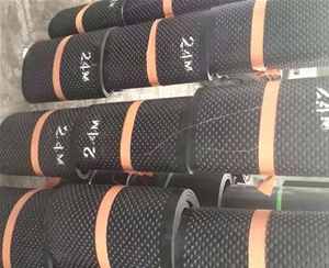 環(huán)型花紋輸送帶