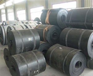 環(huán)型輸送帶