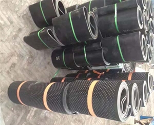 環(huán)型輸送帶 (3)