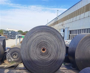 現(xiàn)場(chǎng)拍攝14